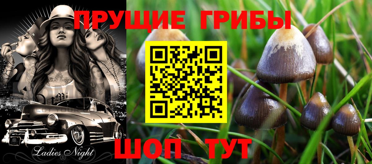 Минусинск  Псилоцибиновые грибы ЛСД  Вход с VPN 