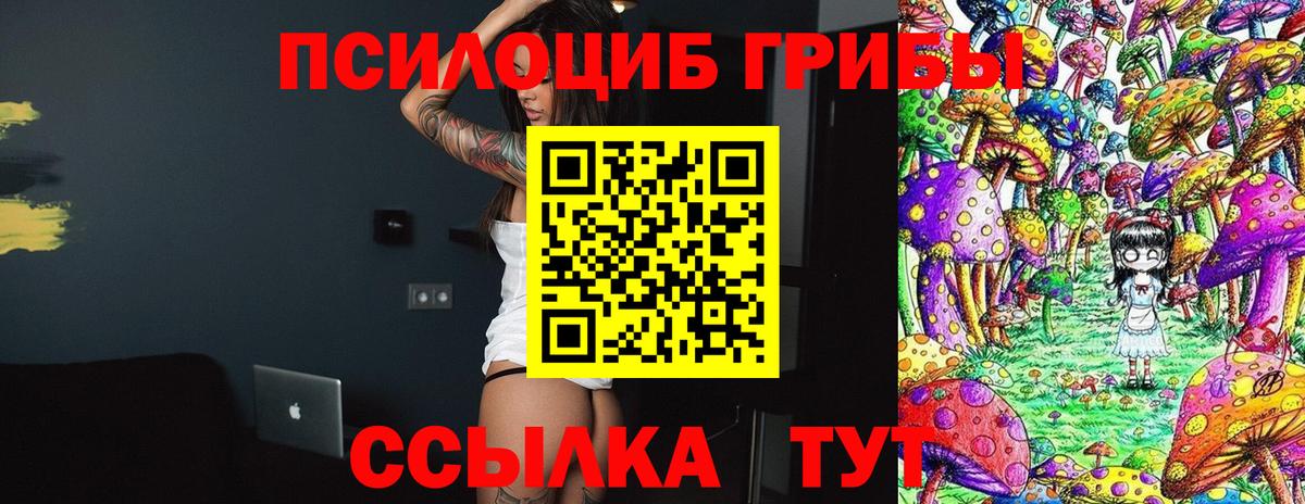 Псилоцибиновые грибы Psilocybe Минусинск